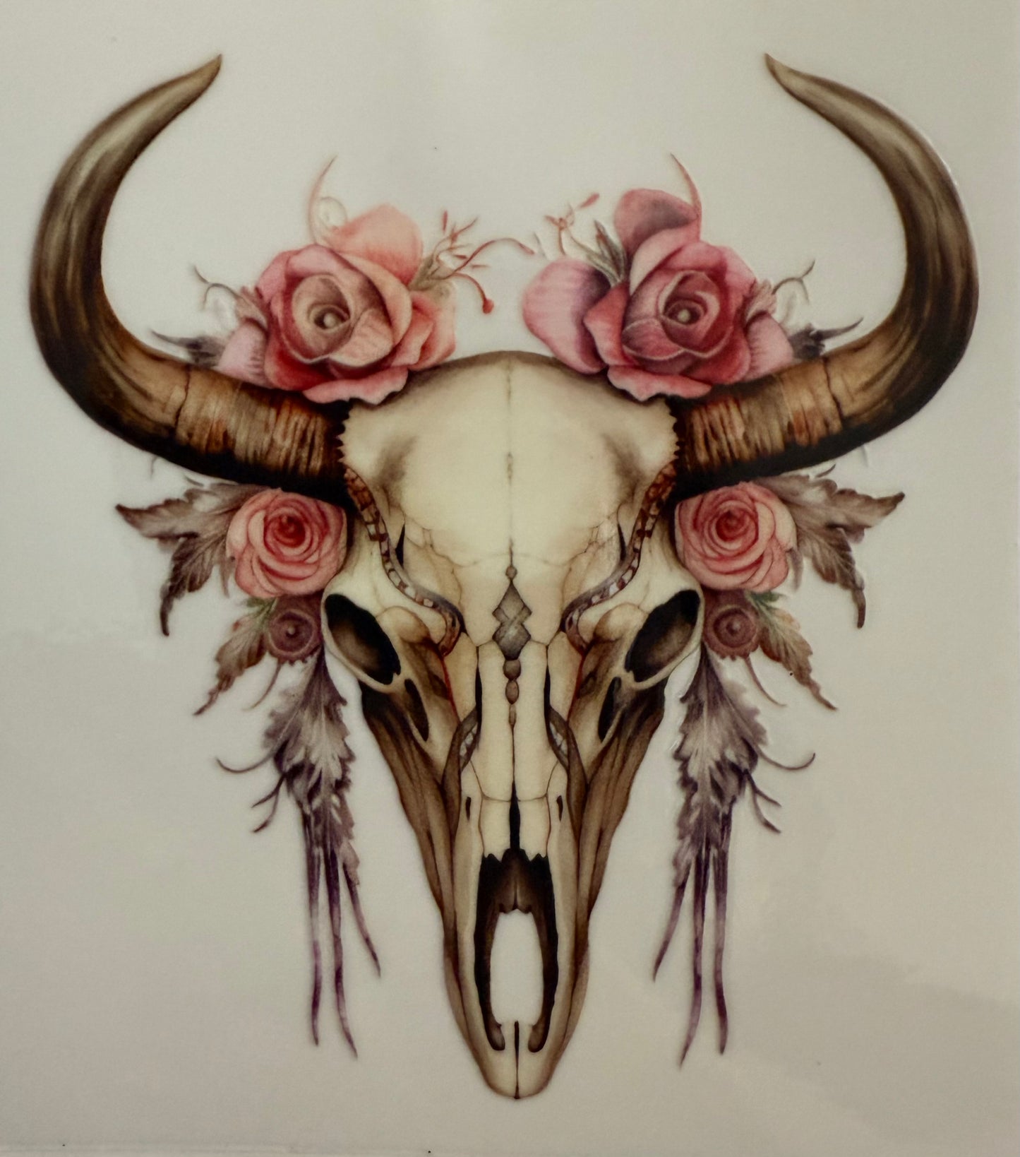 Cow Skull