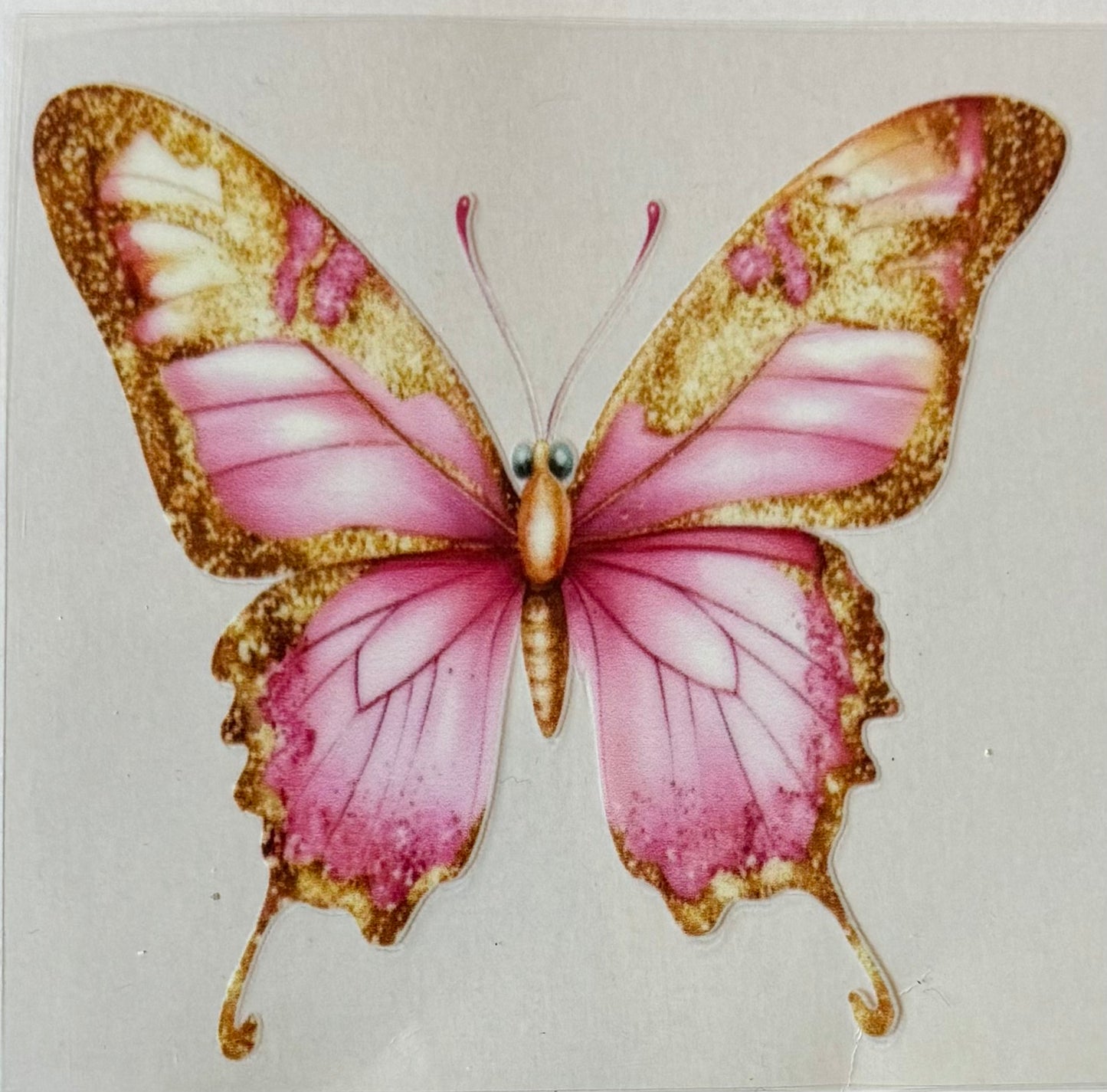 Pink and gold butterfly