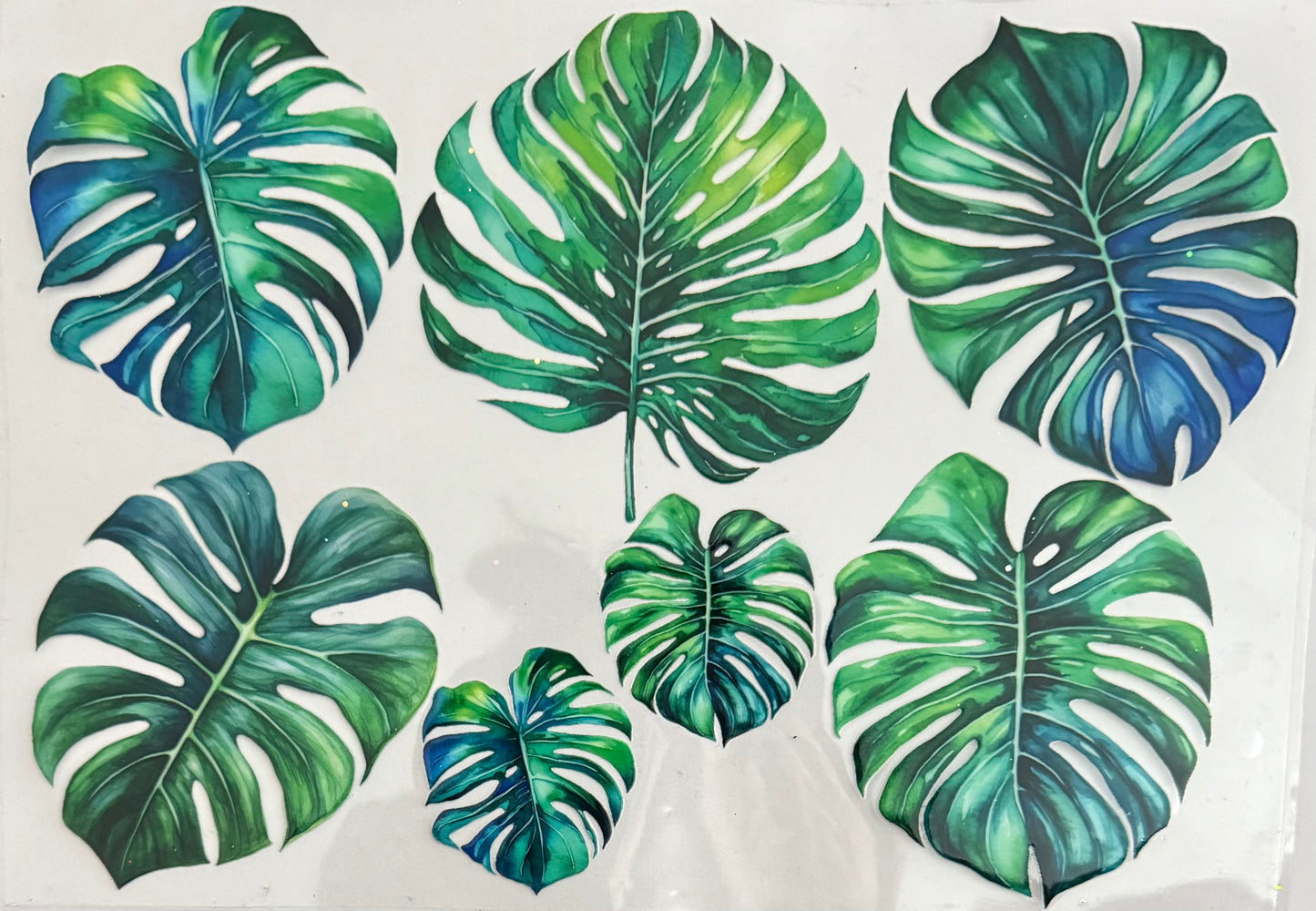 Large monstera (24oz/40oz)