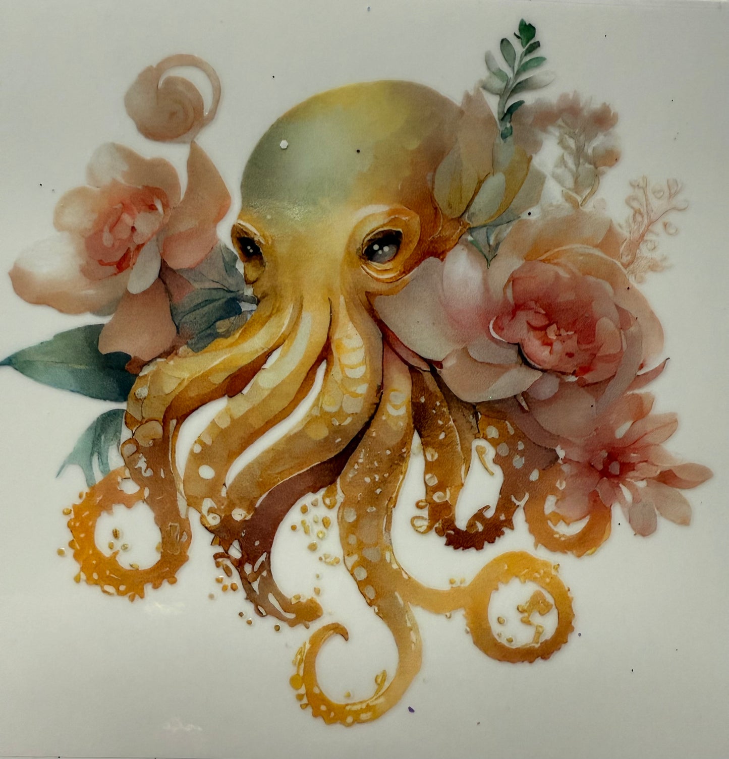 Octopus