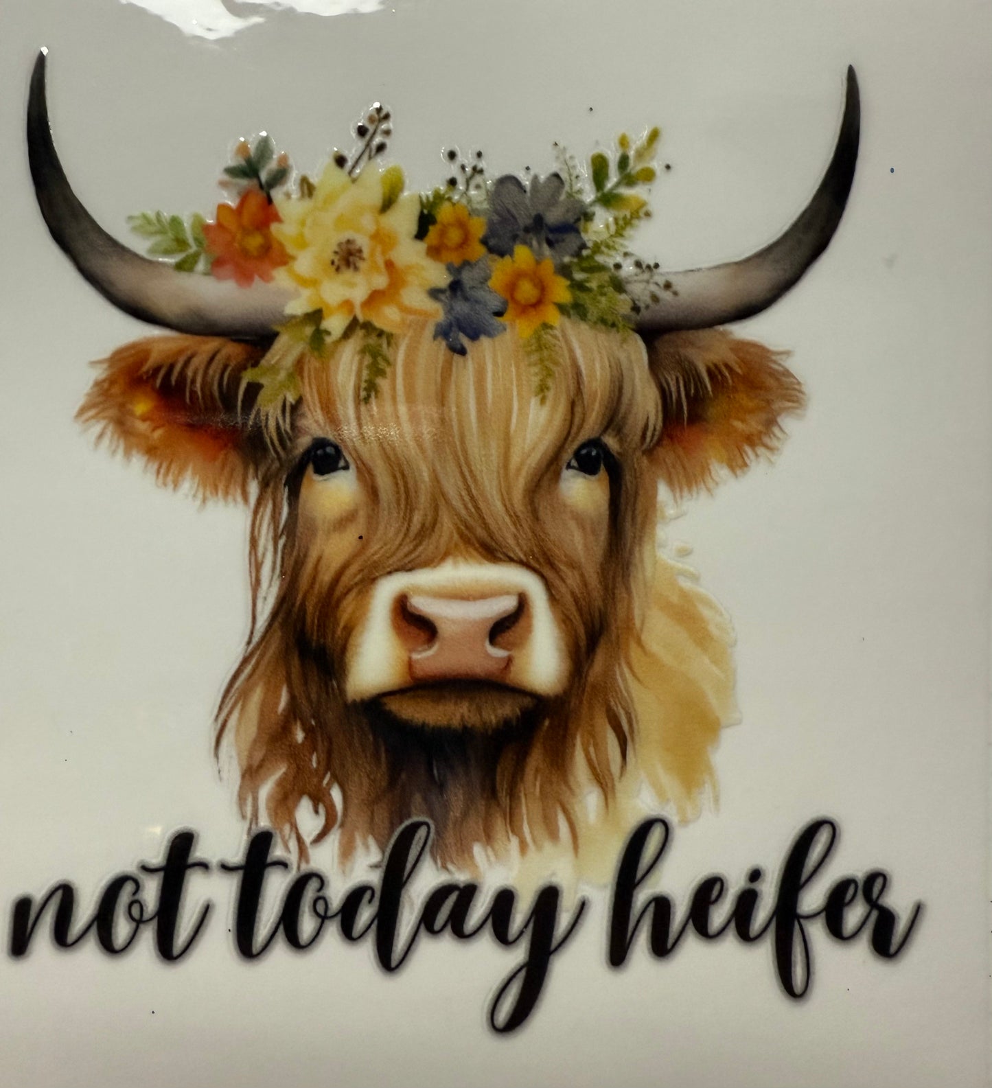 Not today heifer
