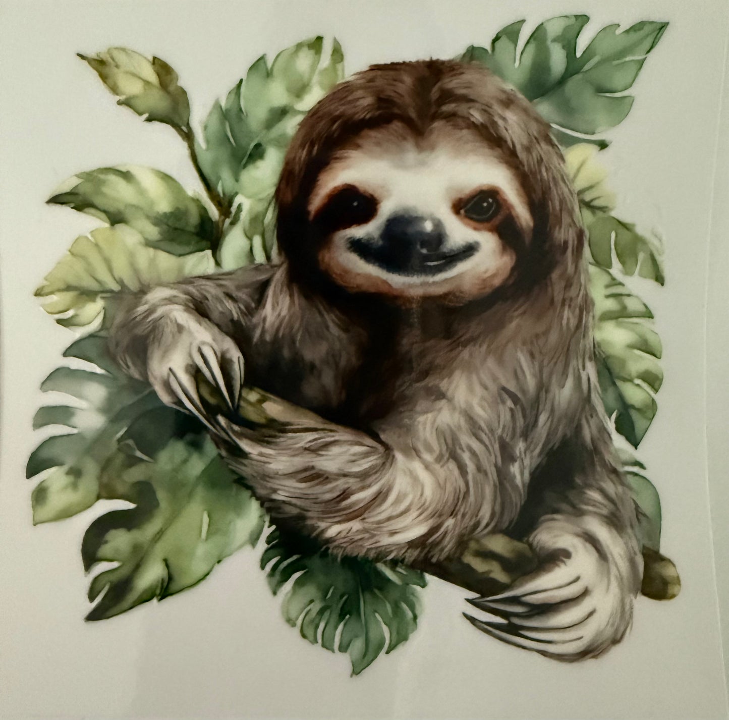 Sloth