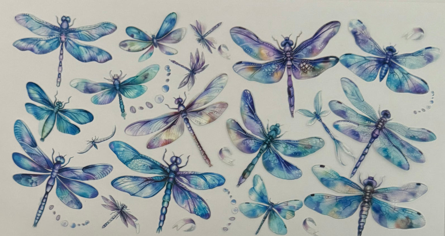 Dragonflies