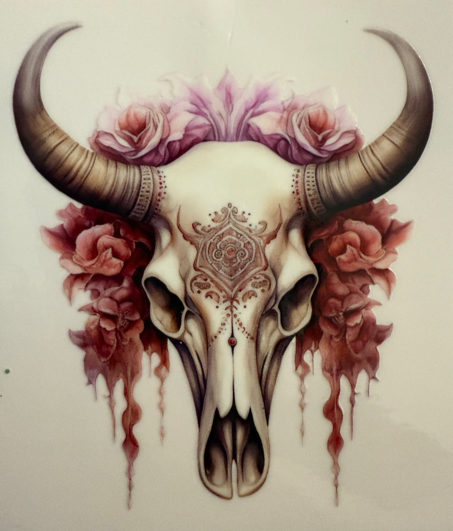 Cow Skull