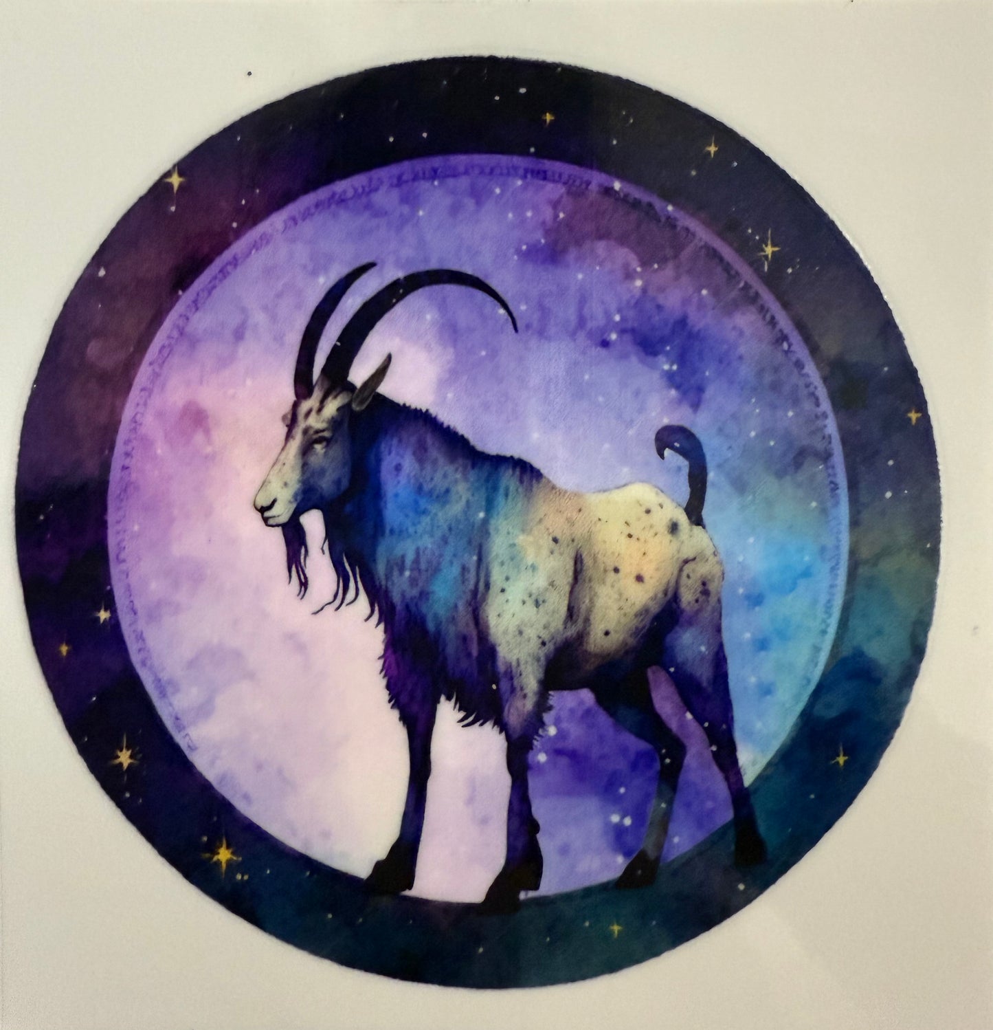Capricorn