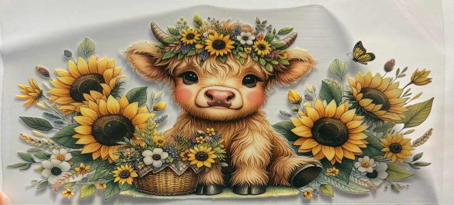 Sunflower highland cow