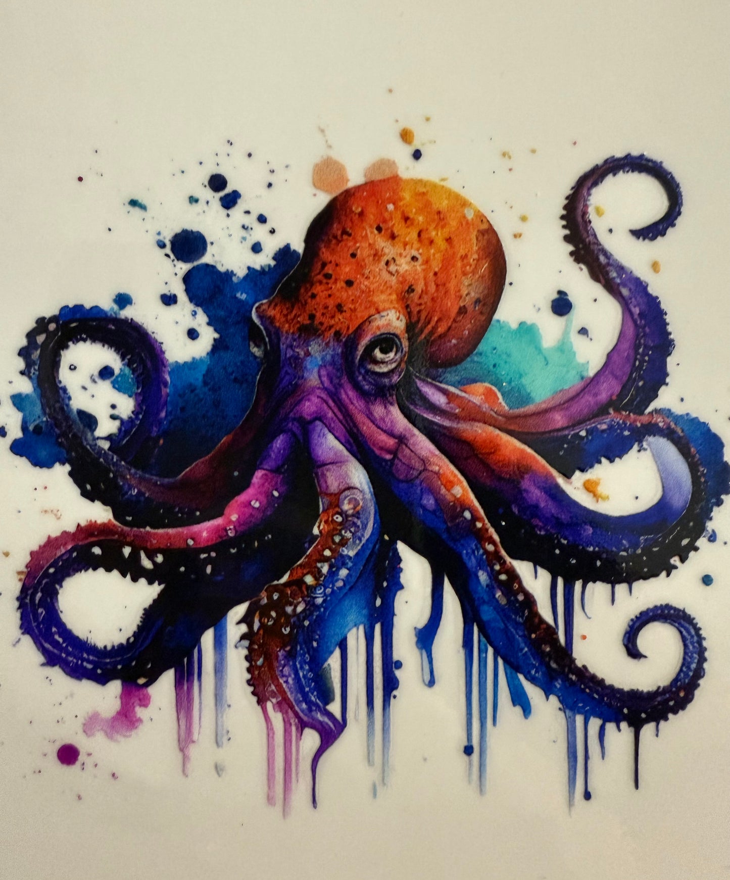 Octopus