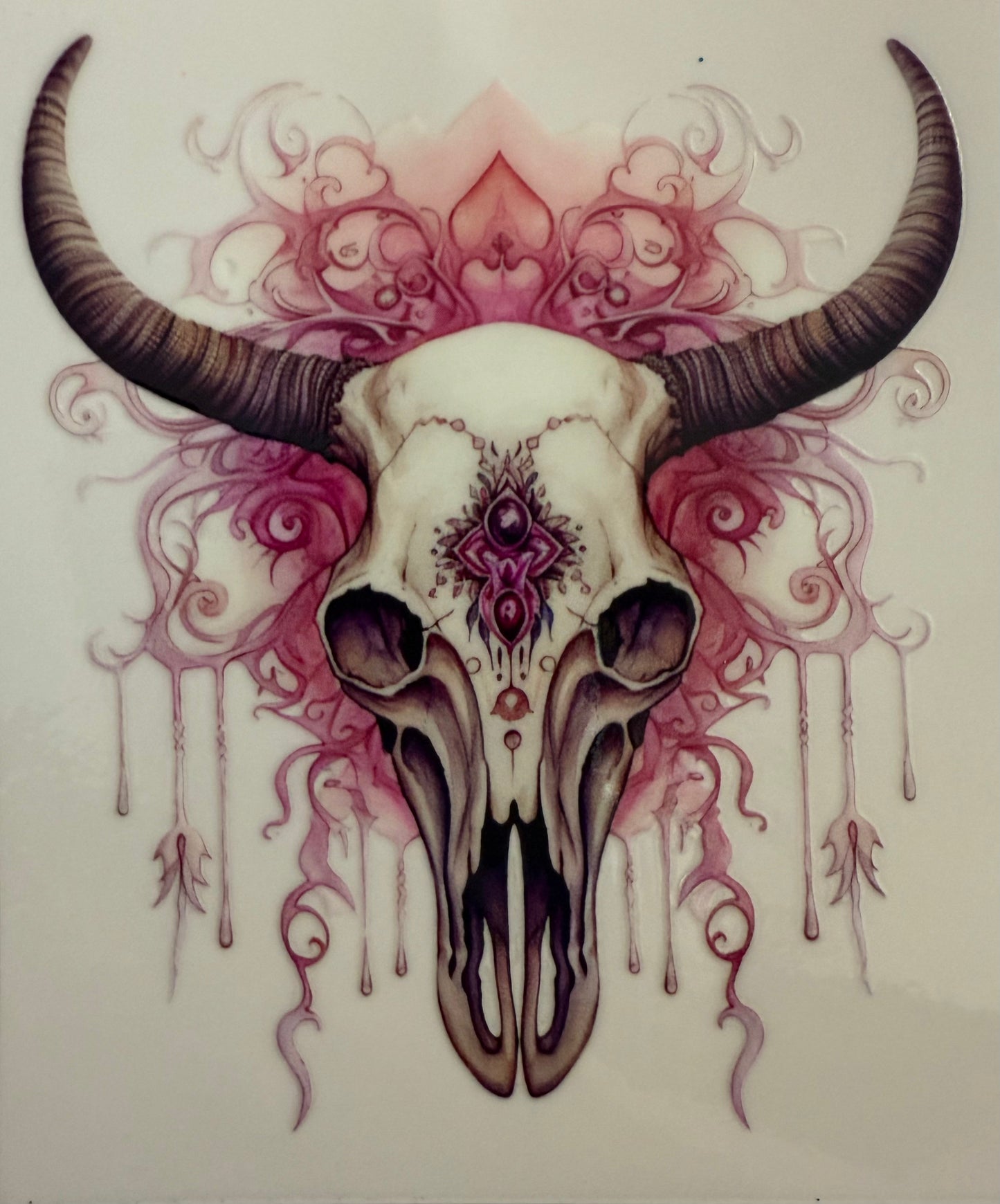 Cow Skull