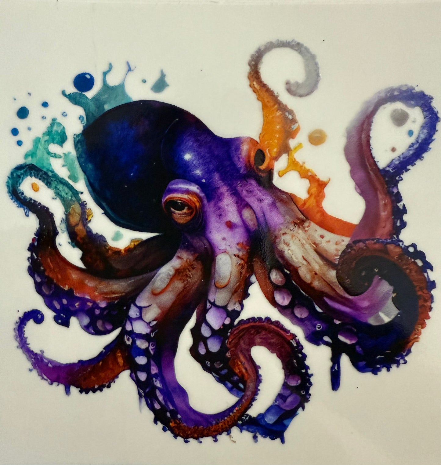 Octopus
