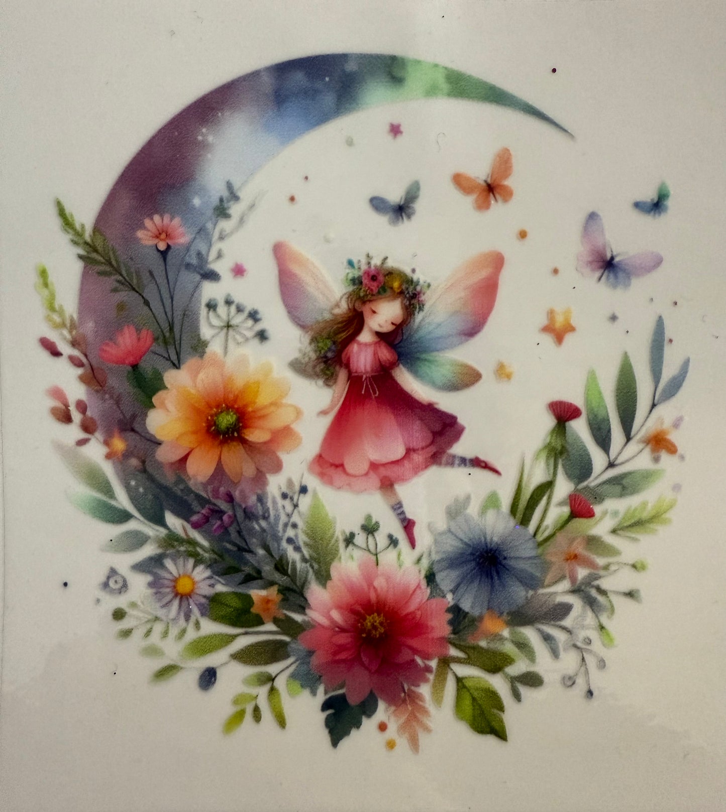 Fairy