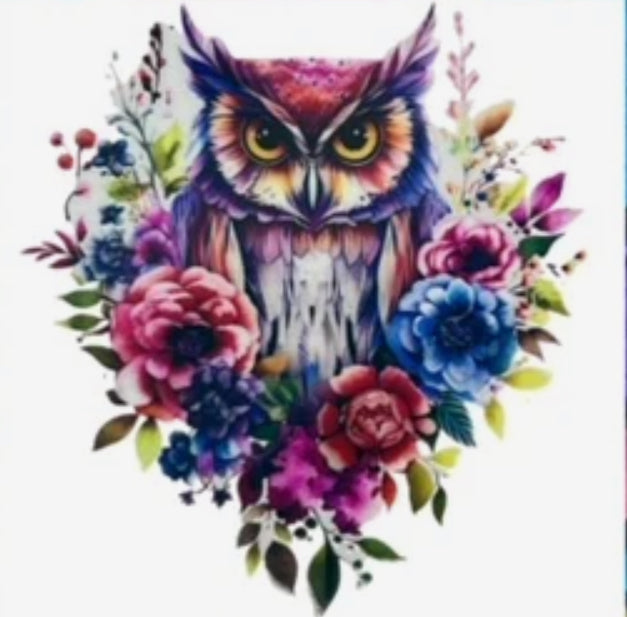 Owl