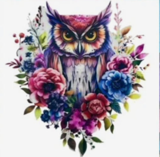 Owl