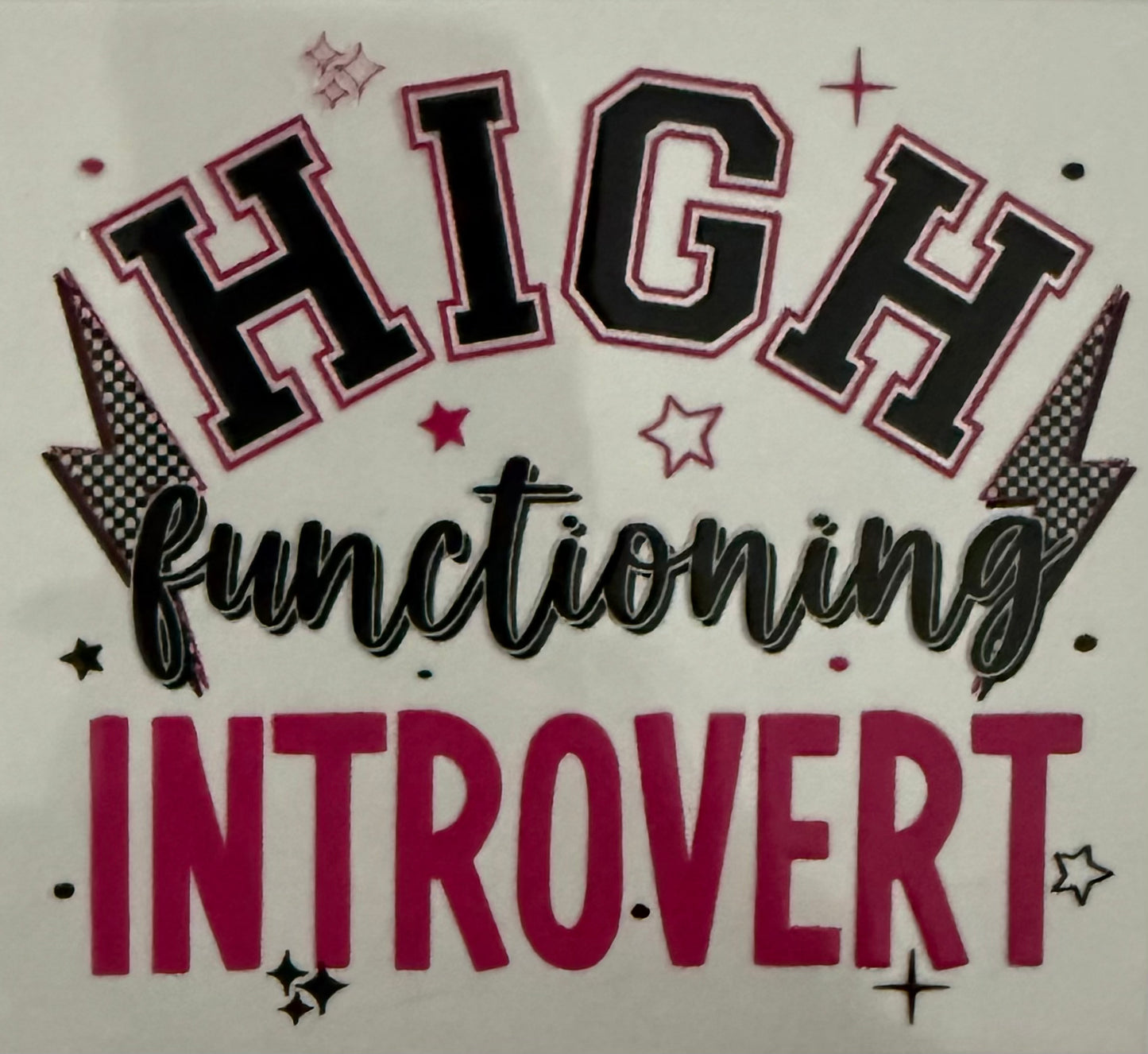 High functioning introvert