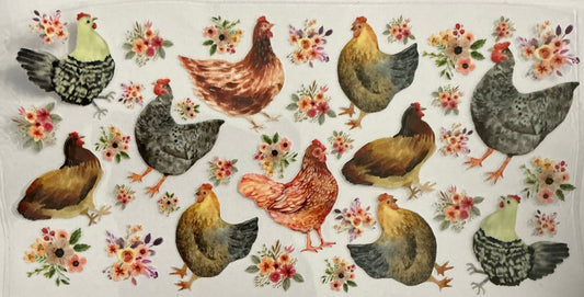Chickens