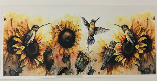 Hummingbird sunflowers