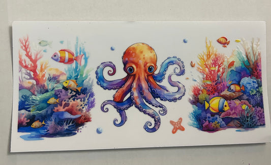 Octopus