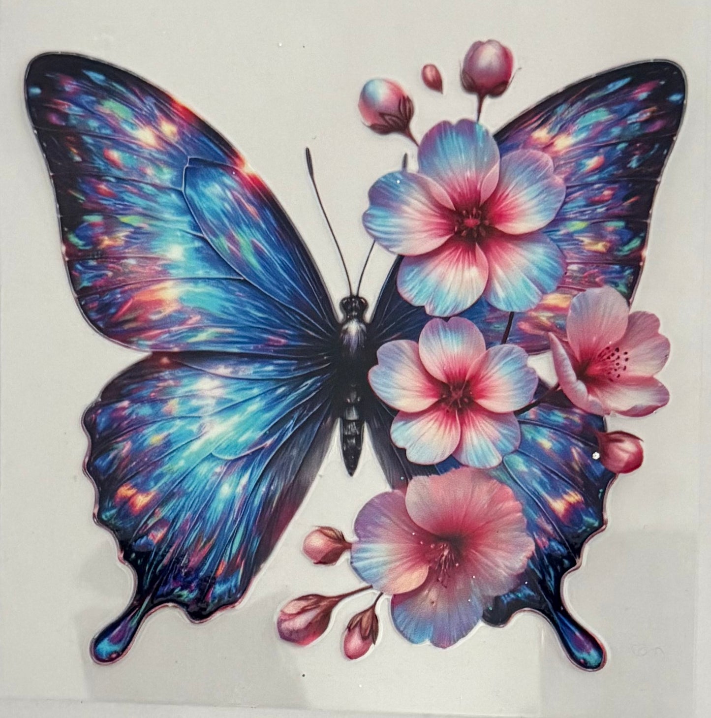 Multicolor butterfly