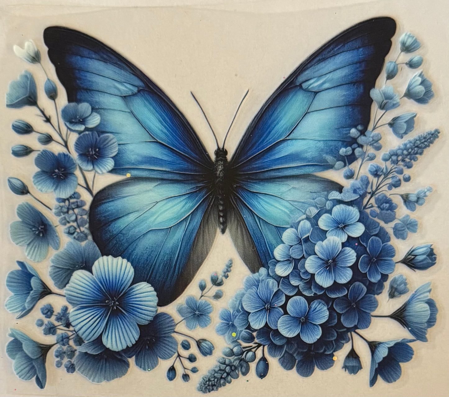 Blue butterfly