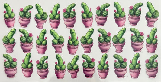 Naughty cactuses