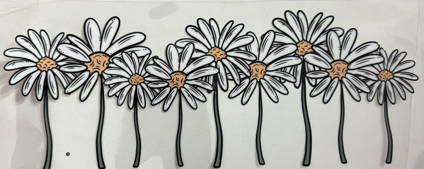 Daisies