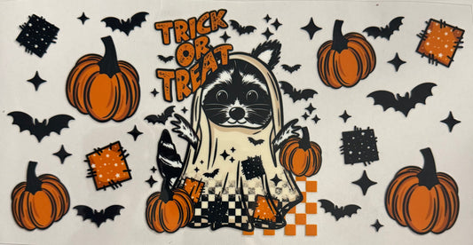 Trick or treat raccoon