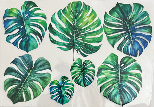 Large monstera (24oz/40oz)