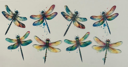 Dragon flies