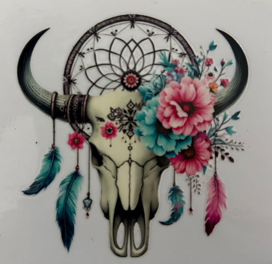 Cow skull and dream catcher