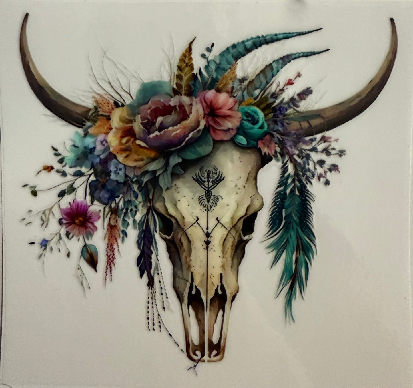 Cow skull