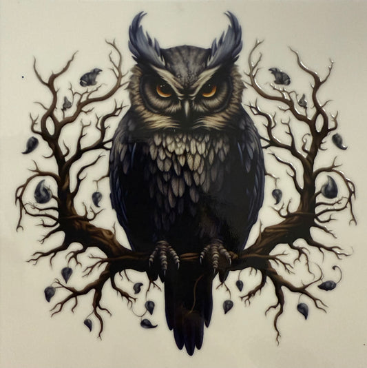 Owl