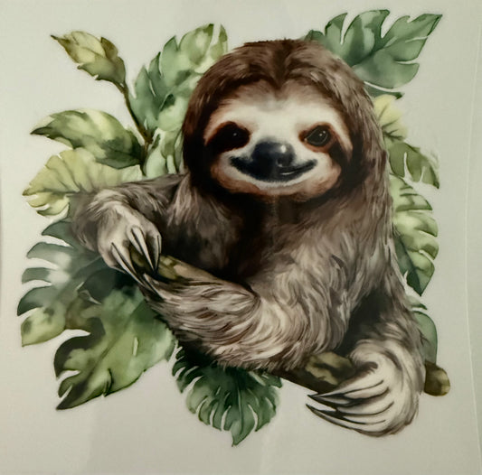 Sloth