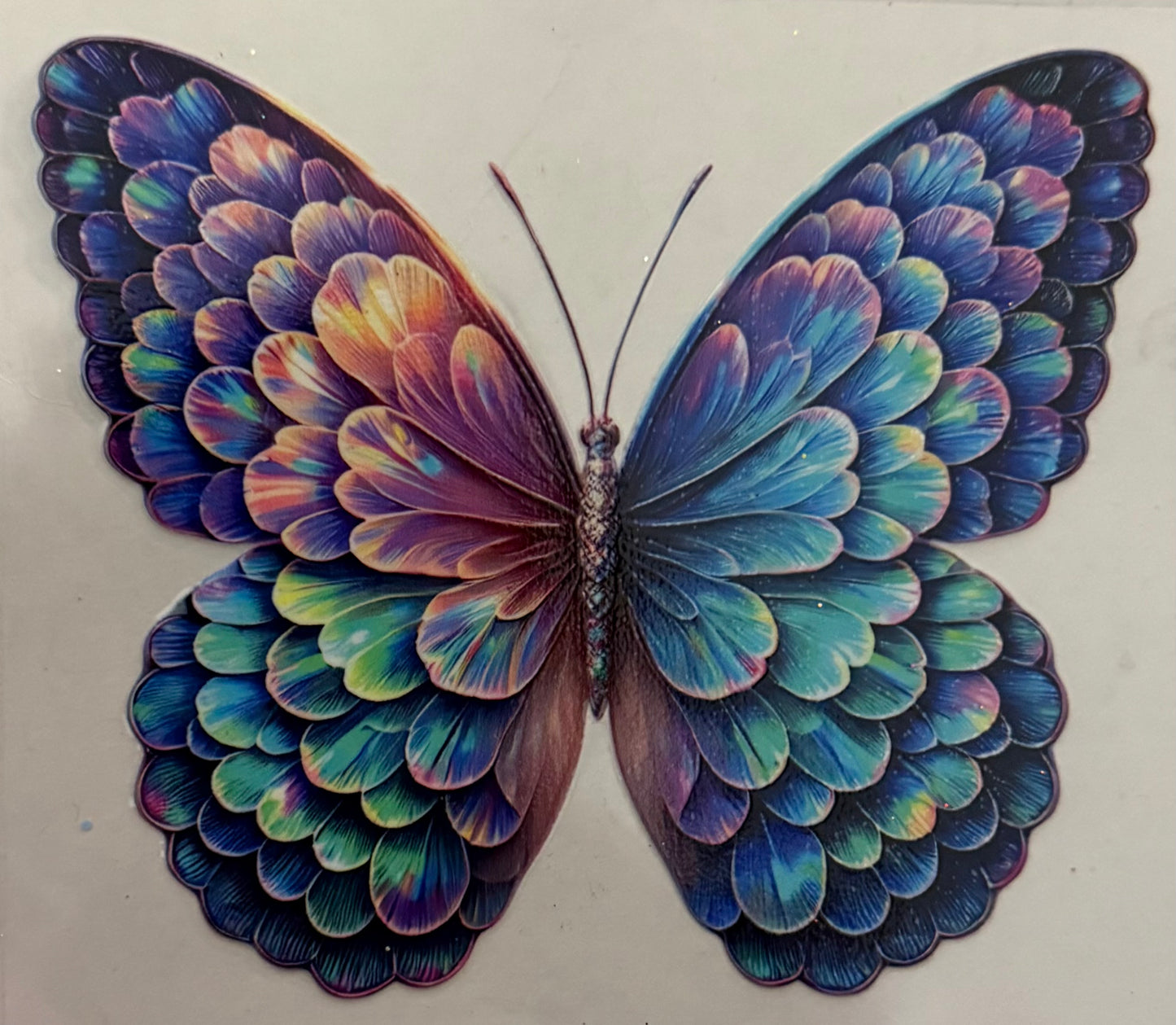 3D butterfly