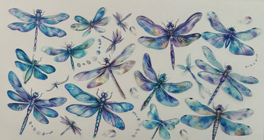 Dragonflies