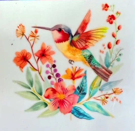 Hummingbird