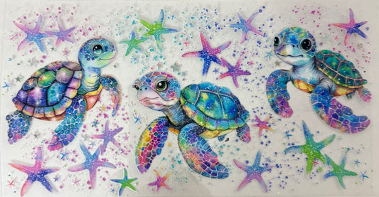 Sea turtles