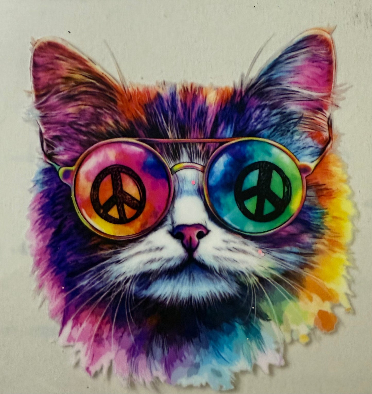 Hippie kitty