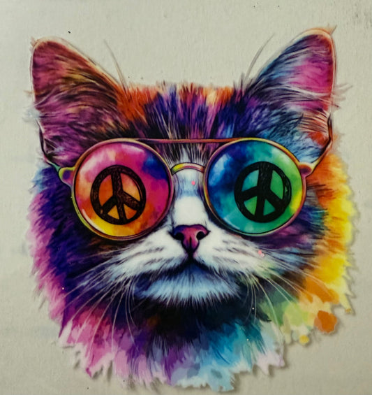 Hippie kitty