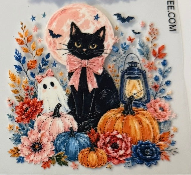 Fall cat