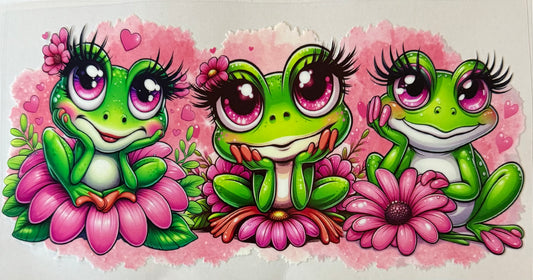 Cute frogs