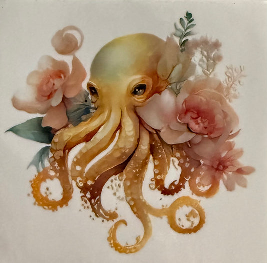 Octopus