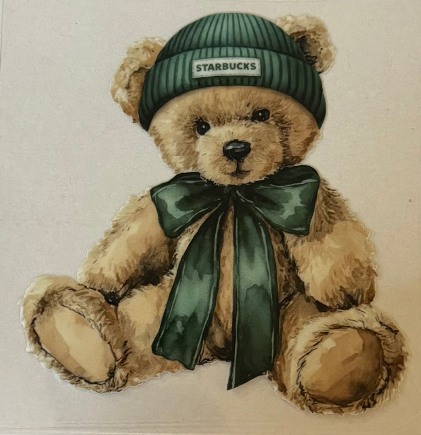 Starbies bear