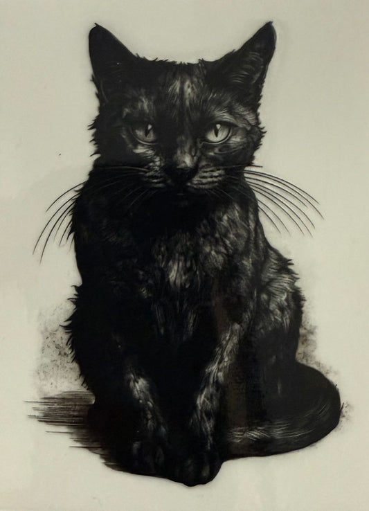 Black cat