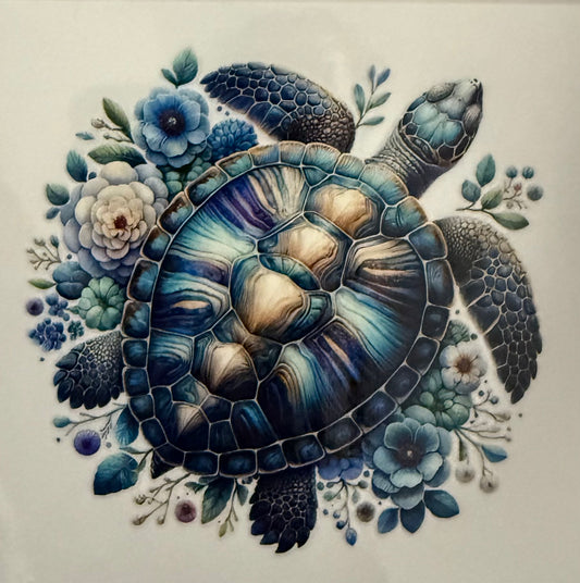 Blue turtle