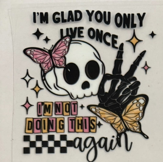 I’m glad you only live once I’m not doing this again