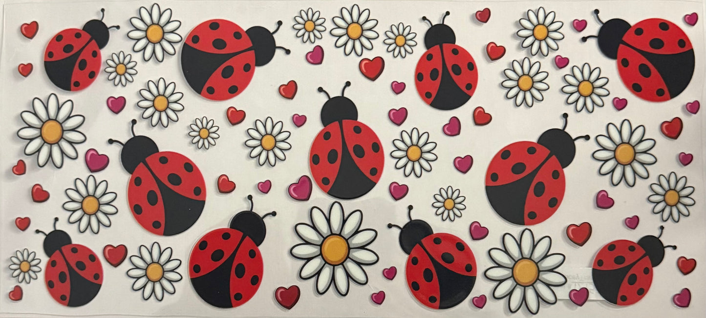 Lady bugs (40oz)