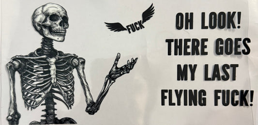 My last flying F